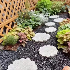 FANTIAN stones arranged inside a terrarium creating visual contrast
