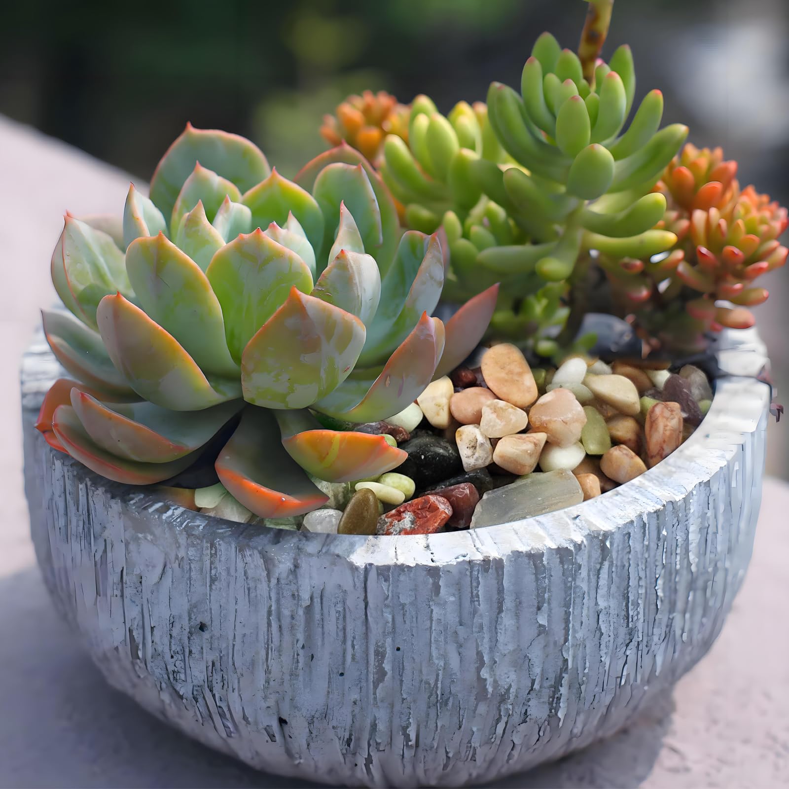 FANTIAN pebbles used as top dressing on succulent pot enhancing presentation