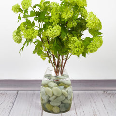 FANTIAN pebbles filling a glass vase to create an elegant centerpiece