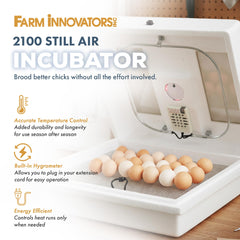 Farm Innovators 2100 dual viewing windows showing eggs and benefit of disturbance-free observation