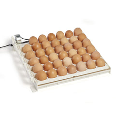 Farm Innovators automatic egg turner front view showing 41 cups for easier hatching