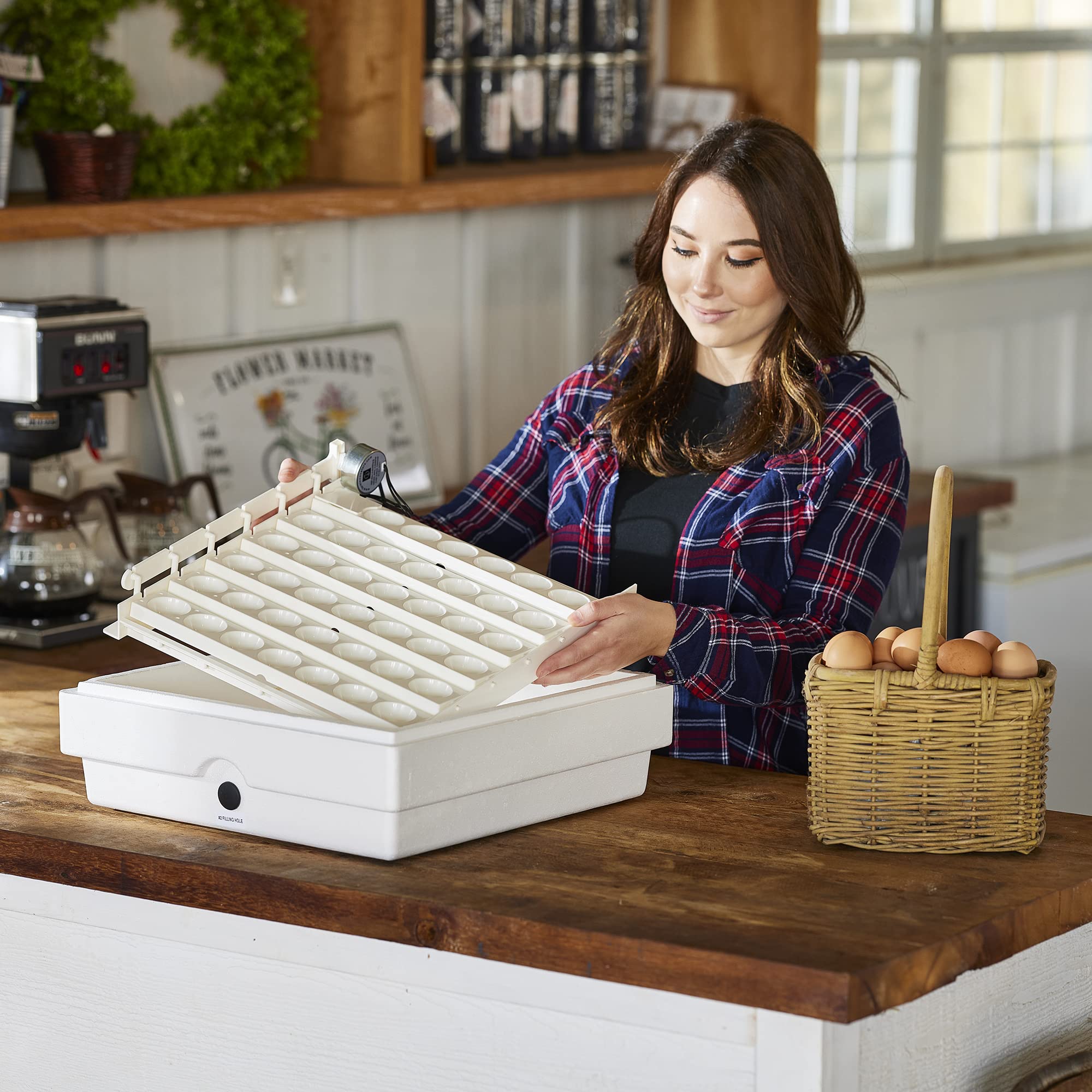 Farm Innovators egg turner in a small hatchery setup showing practical workflow