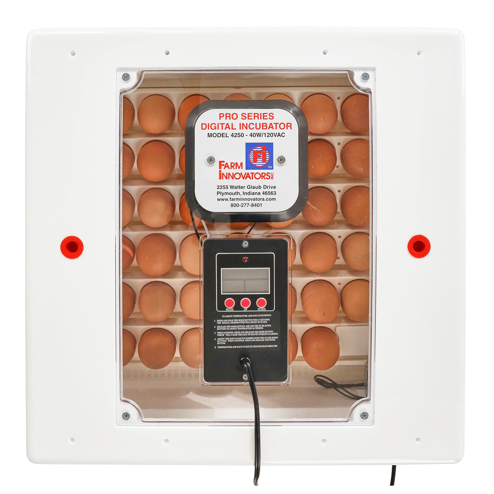 Farm Innovators size comparison with eggs illustrating 41-egg capacity and scale benefit