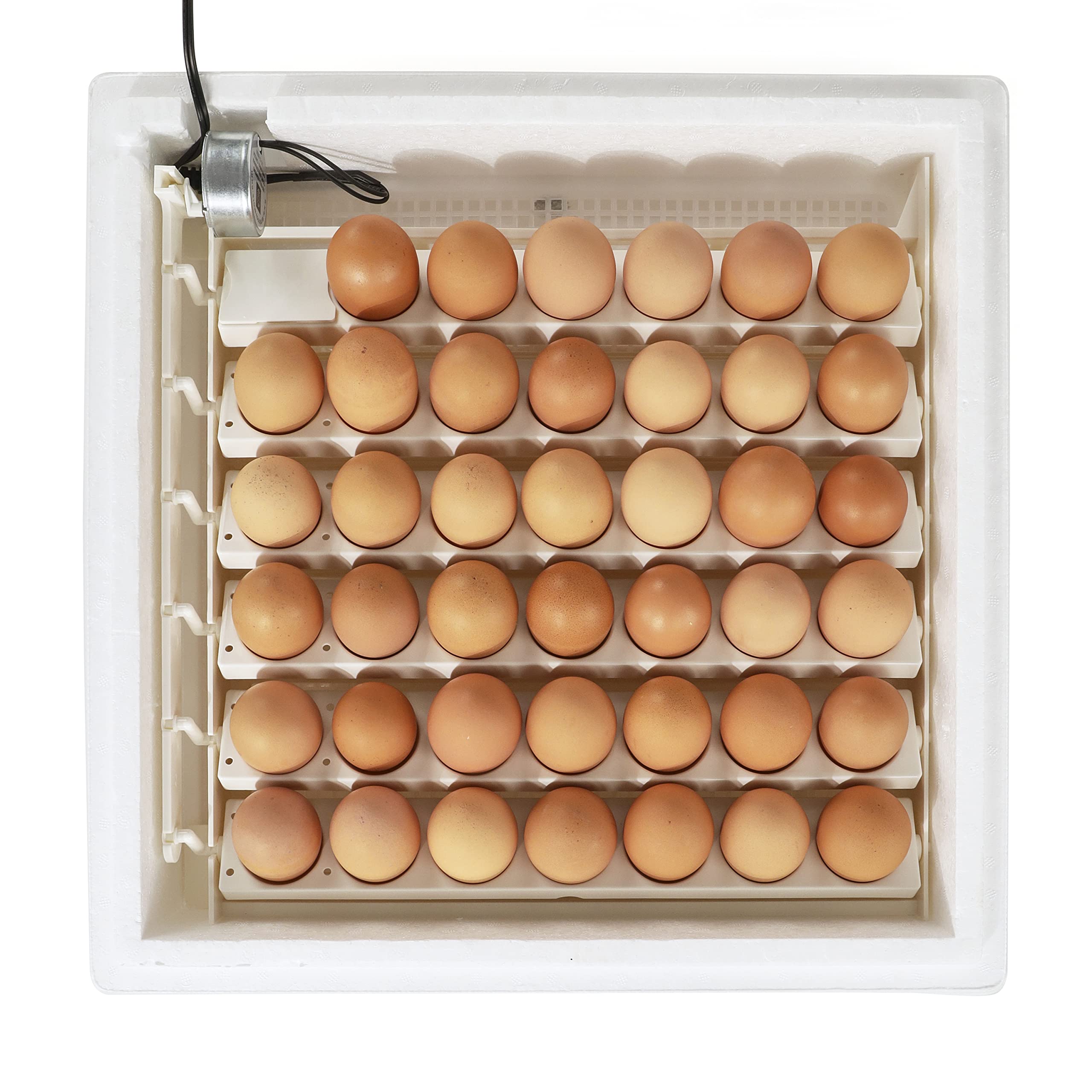 Farm Innovators tray size shown next to hands for scale and placement guidance