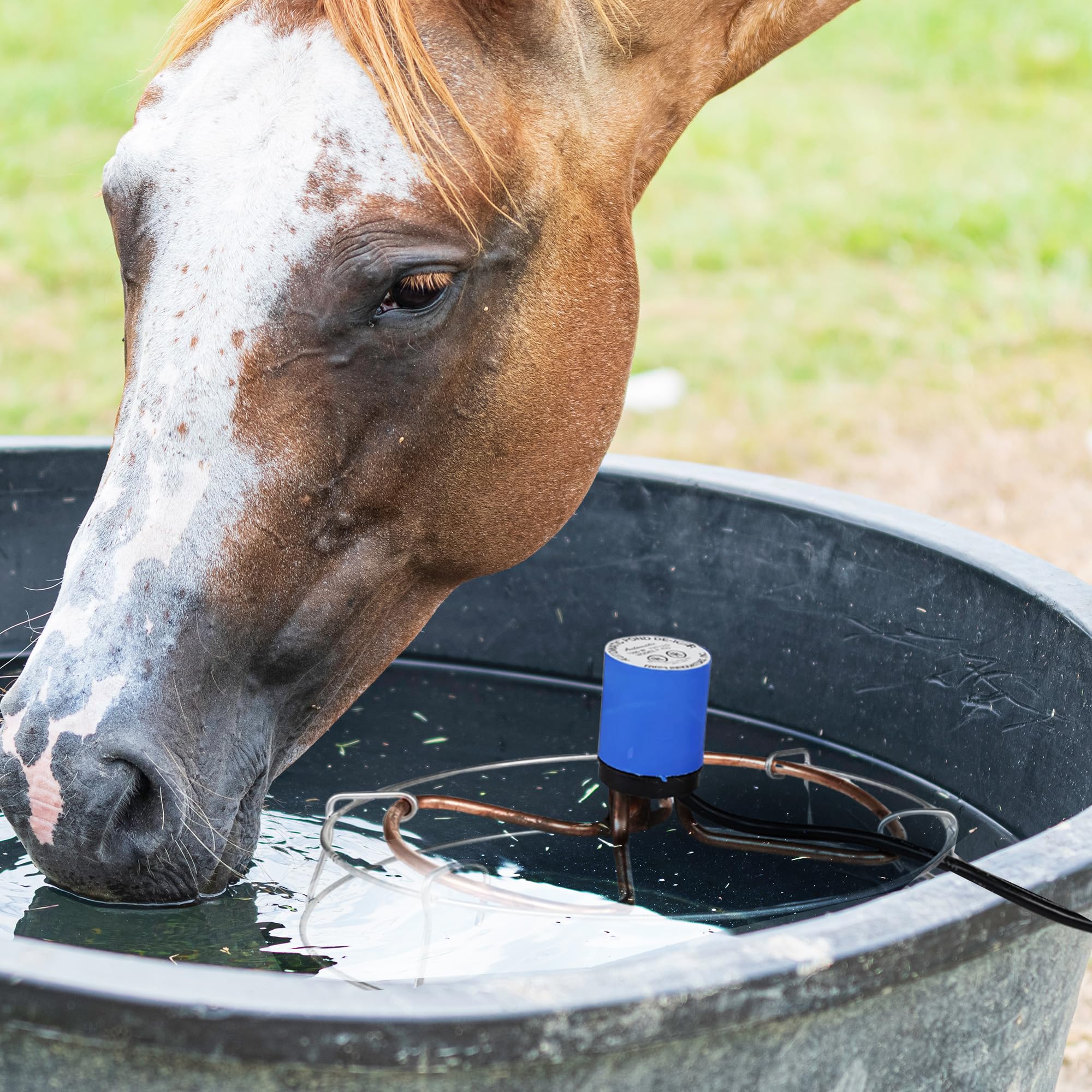 Farm Innovators submerged in a stock tank showing reliable thawing of water