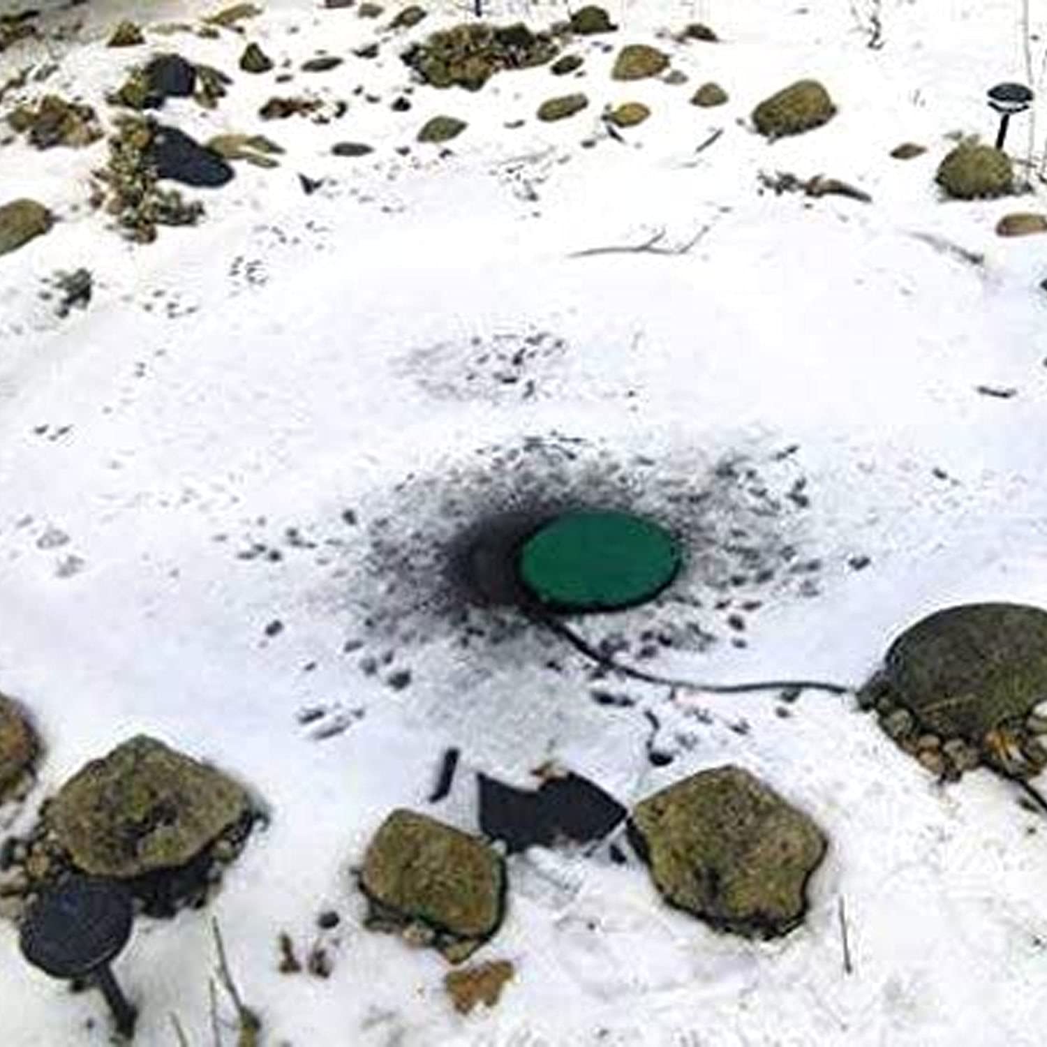 Farm Innovators winter pond scene demonstrating protection for fish and plants