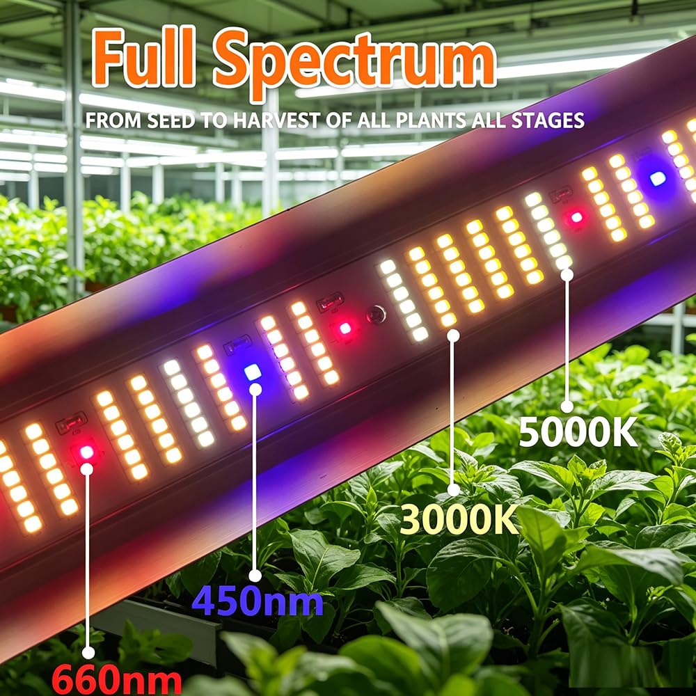 FARMLITE in a small grow room showing quiet, low-maintenance setup benefits