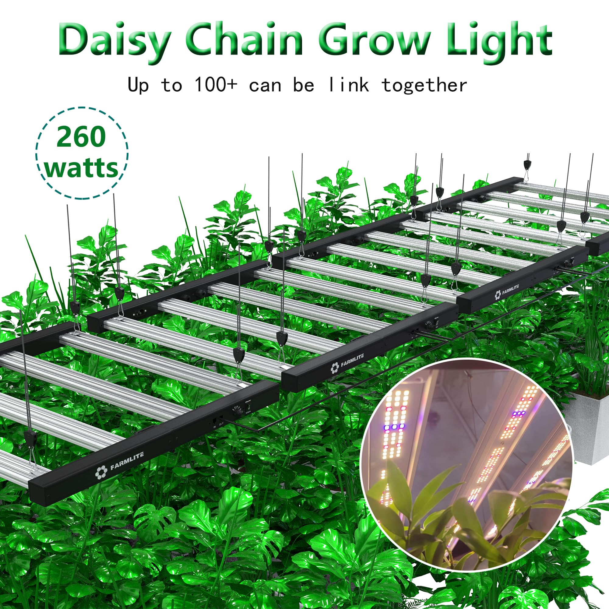 FARMLITE over a seedling tray illustrating uniform coverage and healthy starts