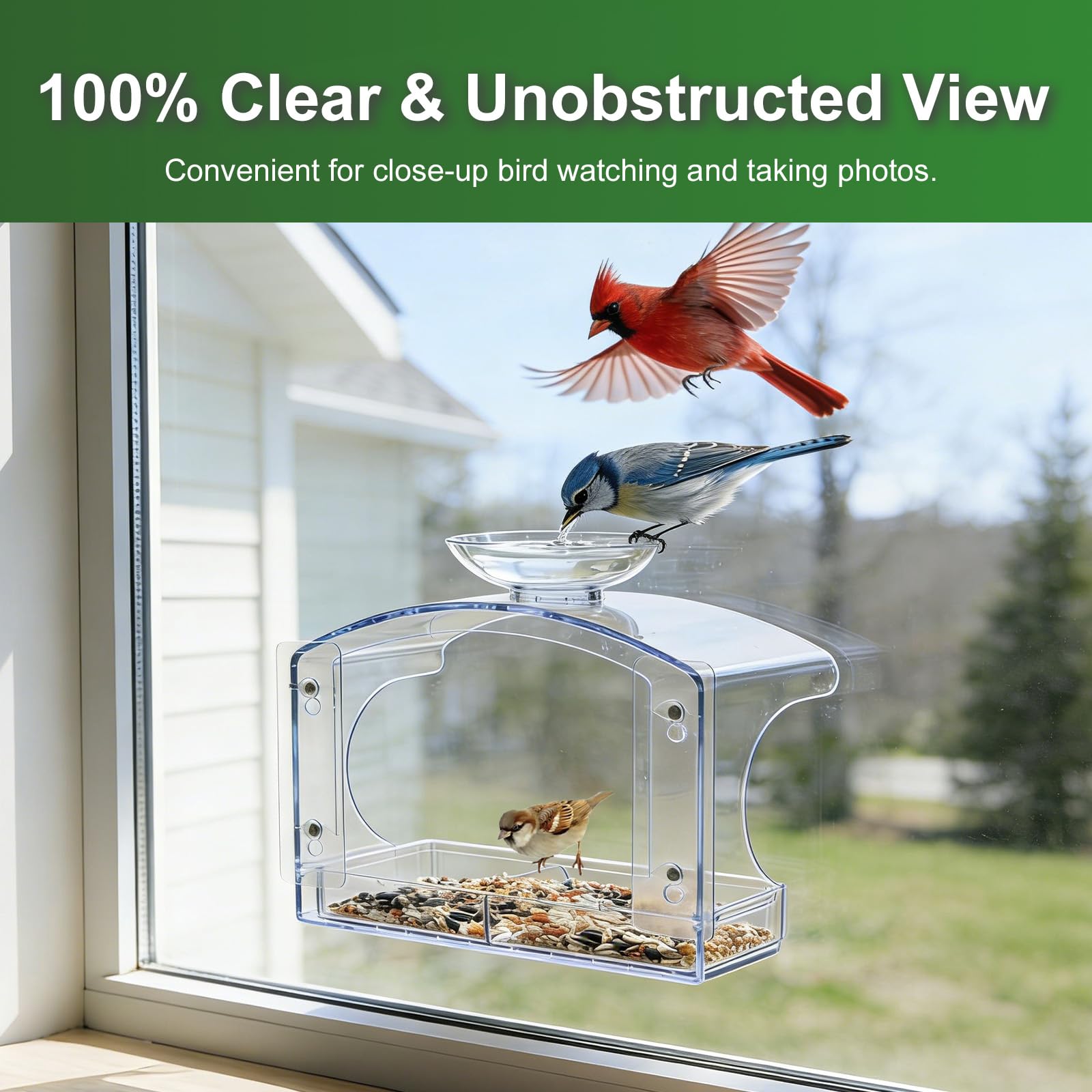 Fashionoda small songbirds perched on platform illustrating safe comfortable feeding benefit