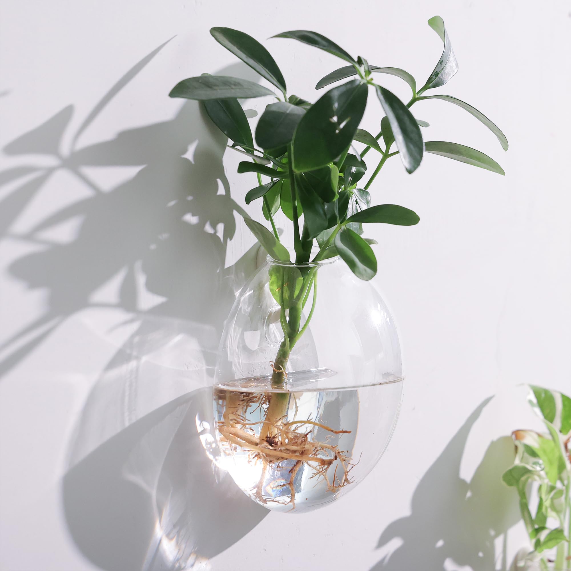 Fashionstorm planter styled with shells and marbles showing customizable décor benefit