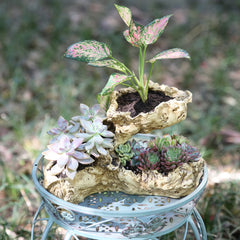 Fashionstorm driftwood planter close-up of resin grain detail highlighting realistic texture