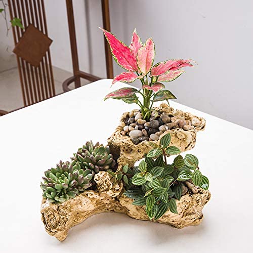 Fashionstorm driftwood planter underside showing two drainage holes for healthier roots