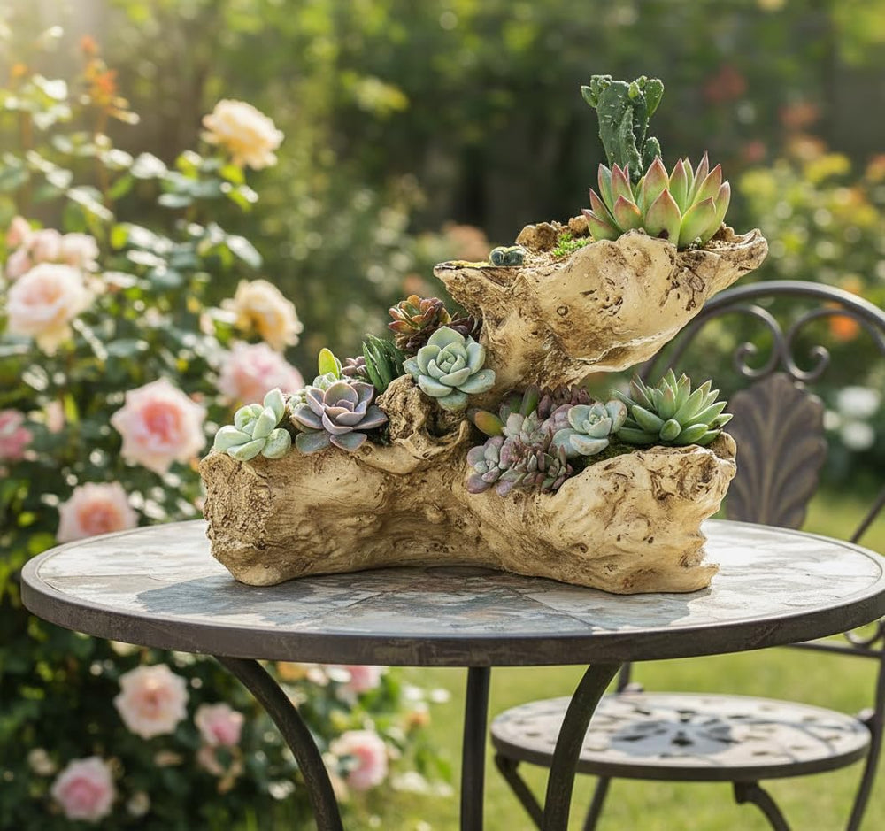 Fashionstorm driftwood planter top view filled with soil showing planting area and depth