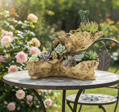Fashionstorm driftwood planter top view filled with soil showing planting area and depth