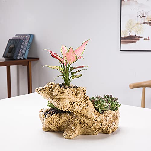Fashionstorm driftwood planter styled with succulents to add natural decor and calm tones