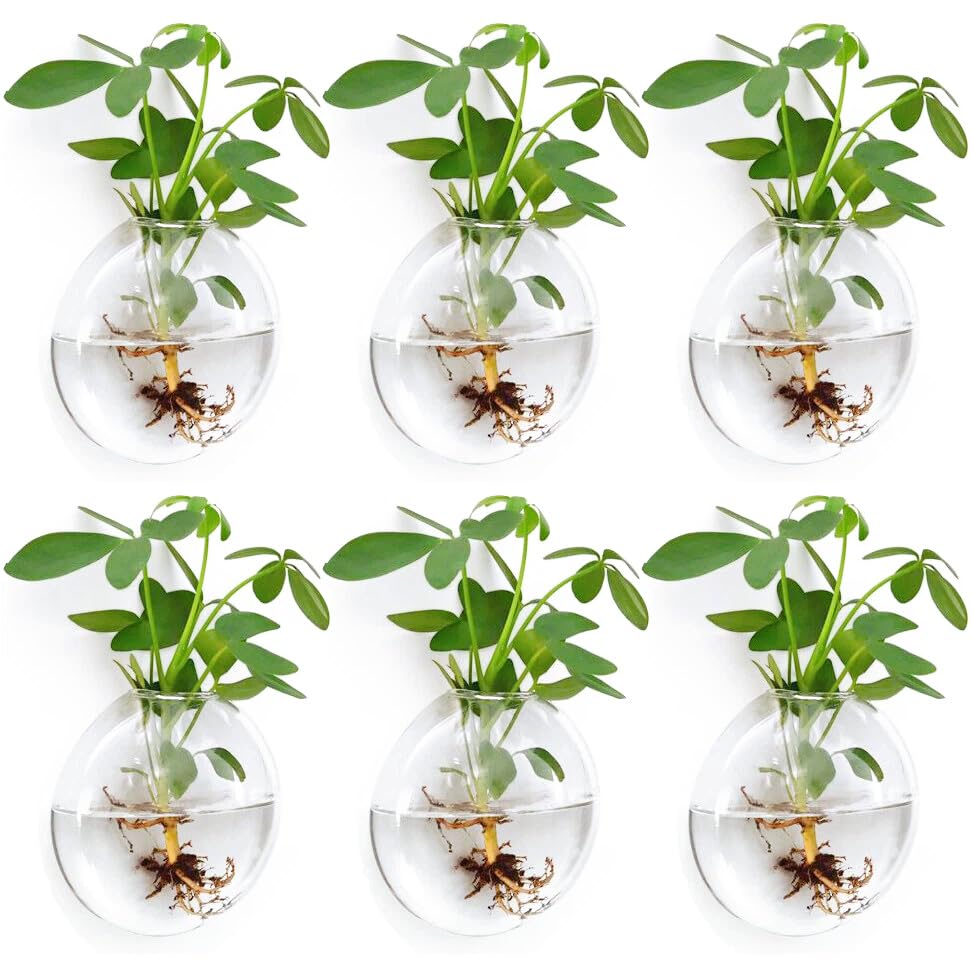 Fashionstorm front view of six glass wall planters showing clean lines and display benefit