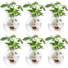 Fashionstorm front view of six glass wall planters showing clean lines and display benefit