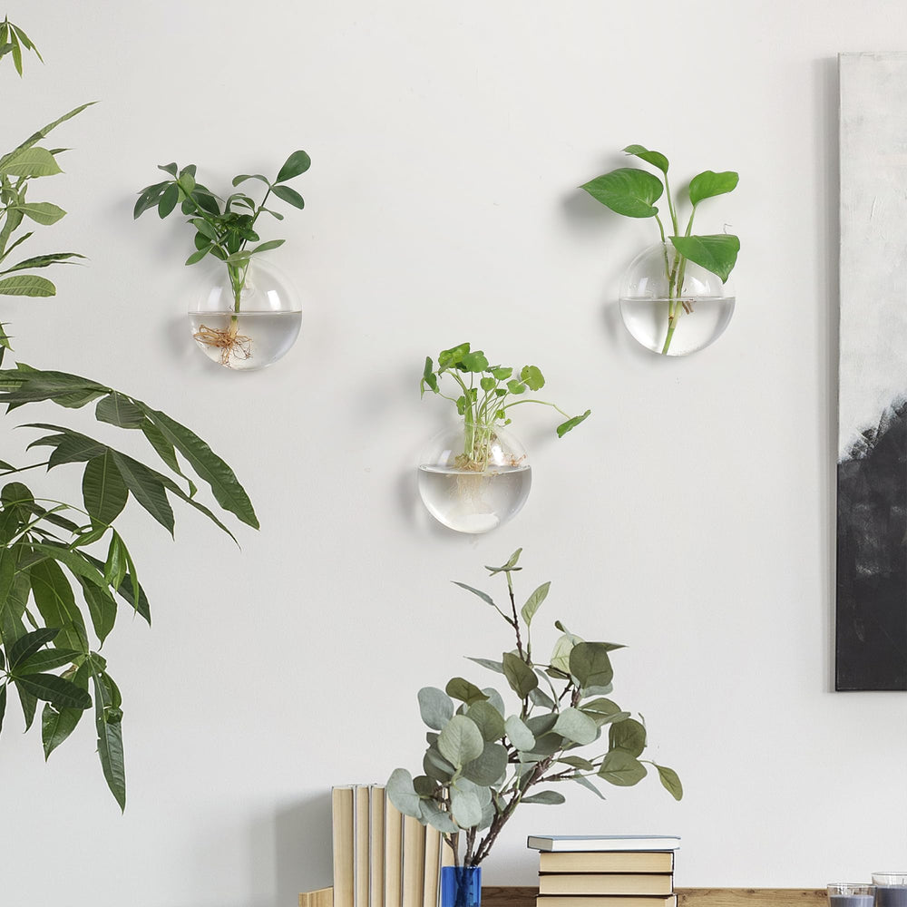 Fashionstorm hanging planters installed on living room wall showing space-saving benefit