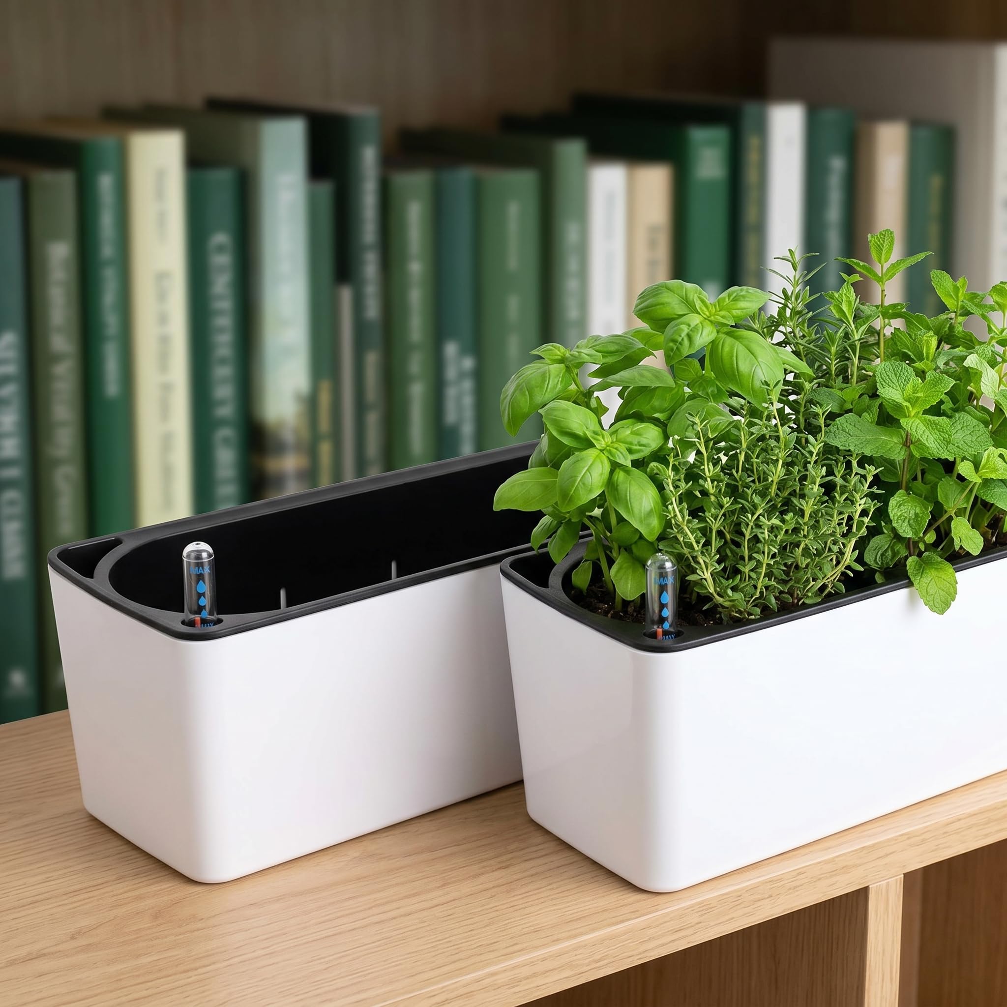 Fasmov in use with herbs planted demonstrating multi-plant capacity