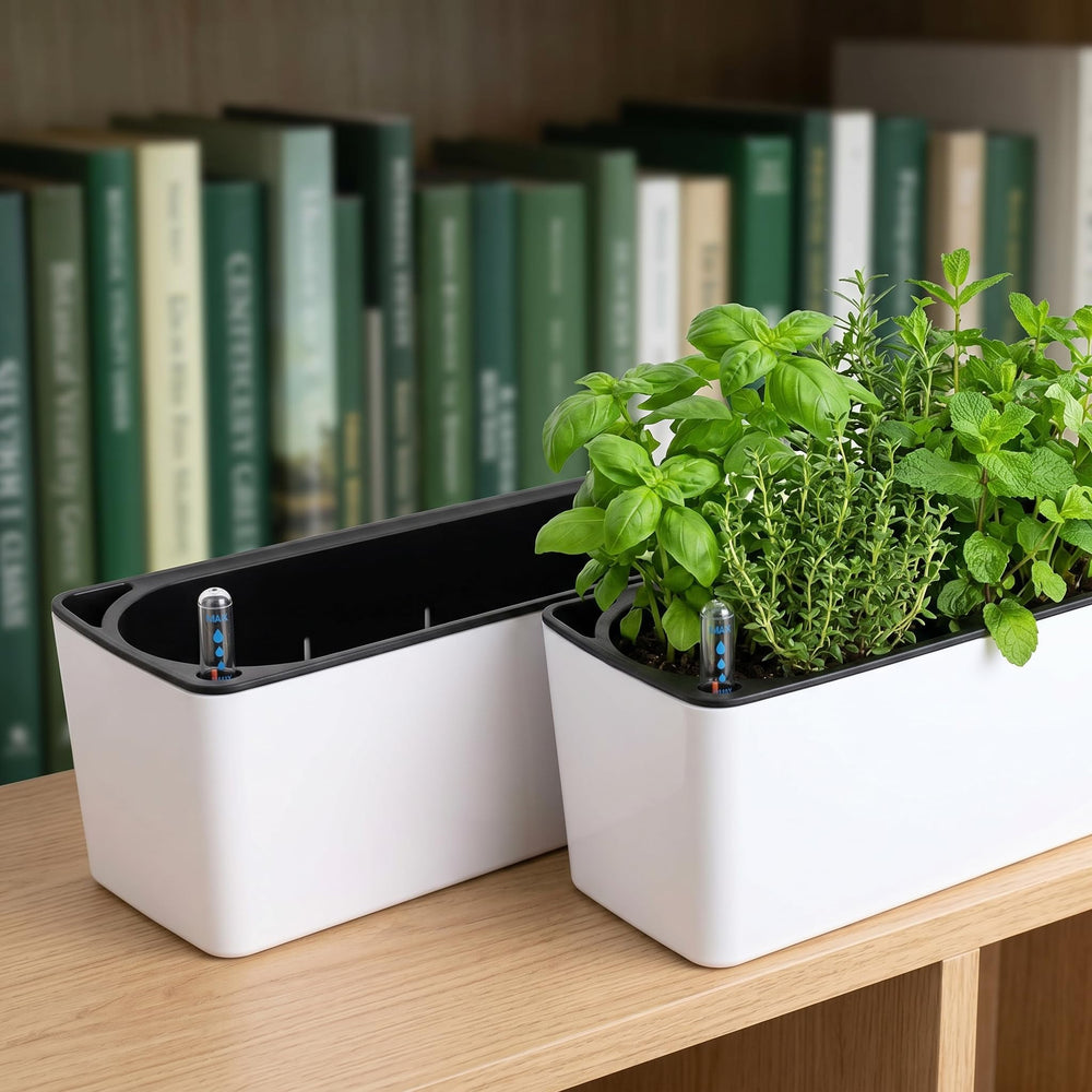 Fasmov in use with herbs planted demonstrating multi-plant capacity