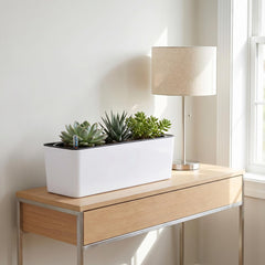 Fasmov inner tray detail showing removable insert for easier planting