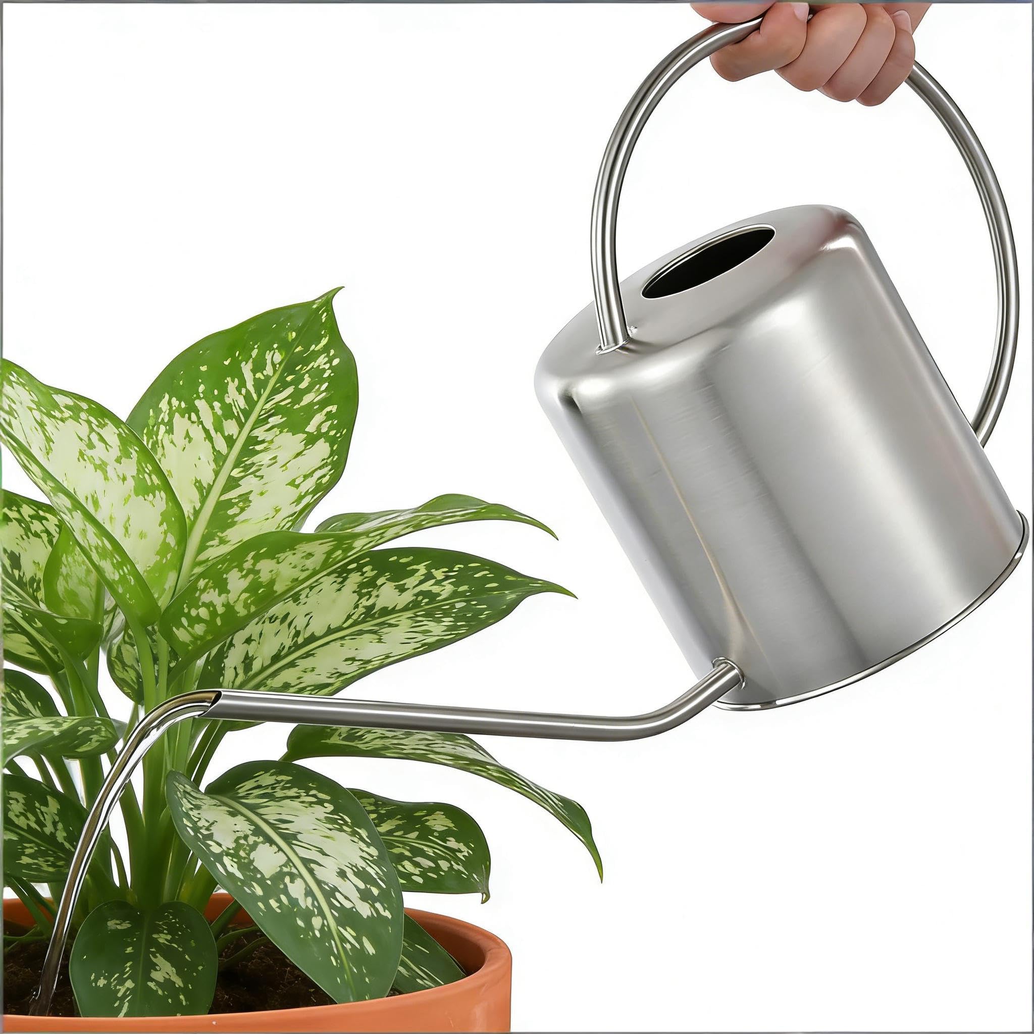 Fasmov pouring water into an indoor plant demonstrating controlled delivery benefit