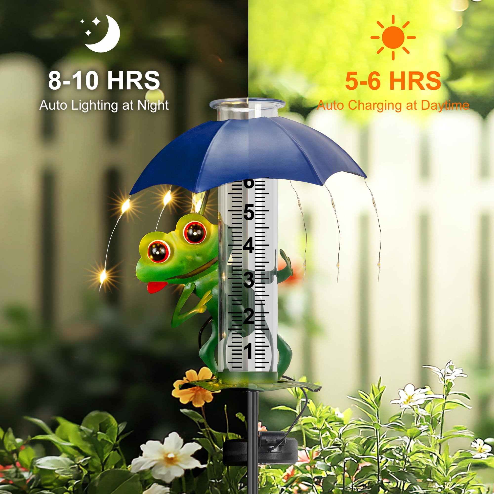 Fastruggle frog placed among flowers providing measurement and garden charm