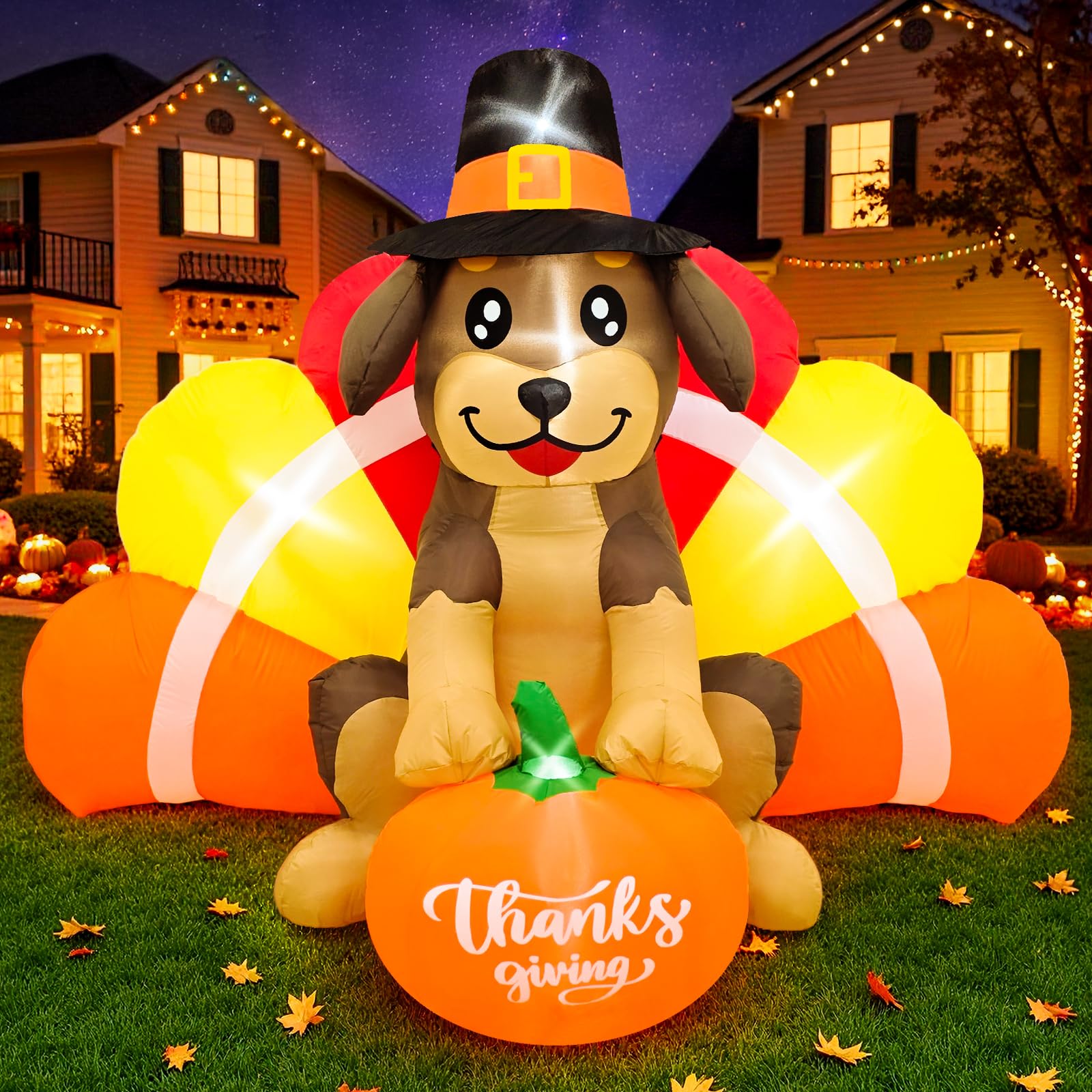 Fayavoo front view turkey dog showing festive design and visitor appeal