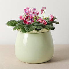 Fayoula front view glossy planter shows elegant finish and decor appeal