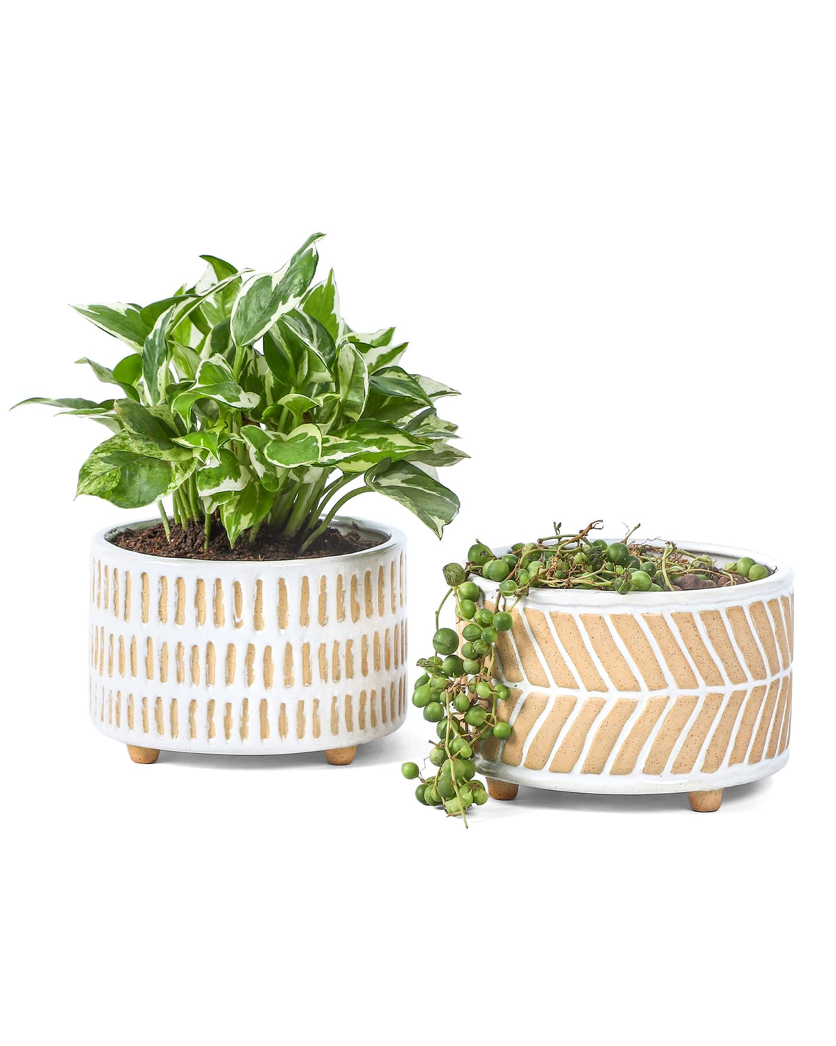 Fayoula front view of two 6-inch planters showing minimalist patterns and balance