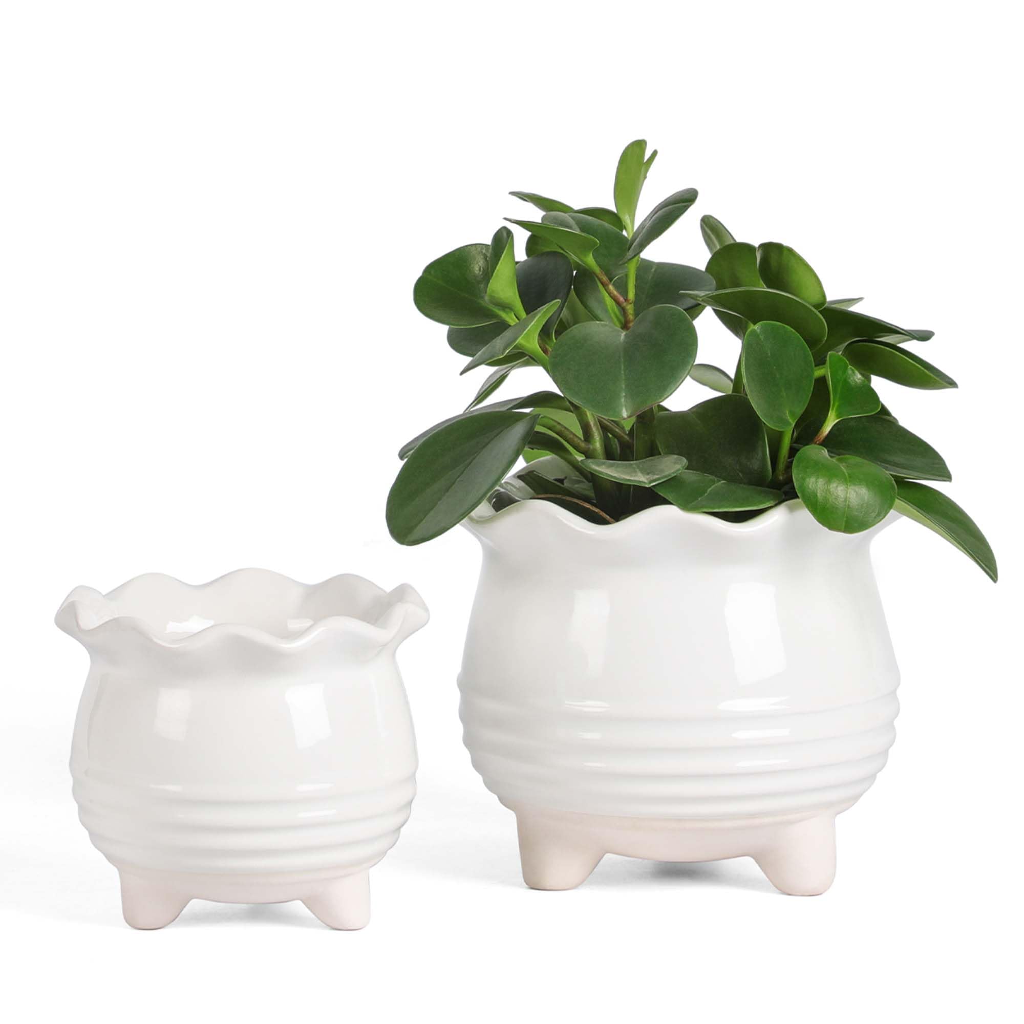 Fayoula white planter set front view showing clean modern design and versatile look