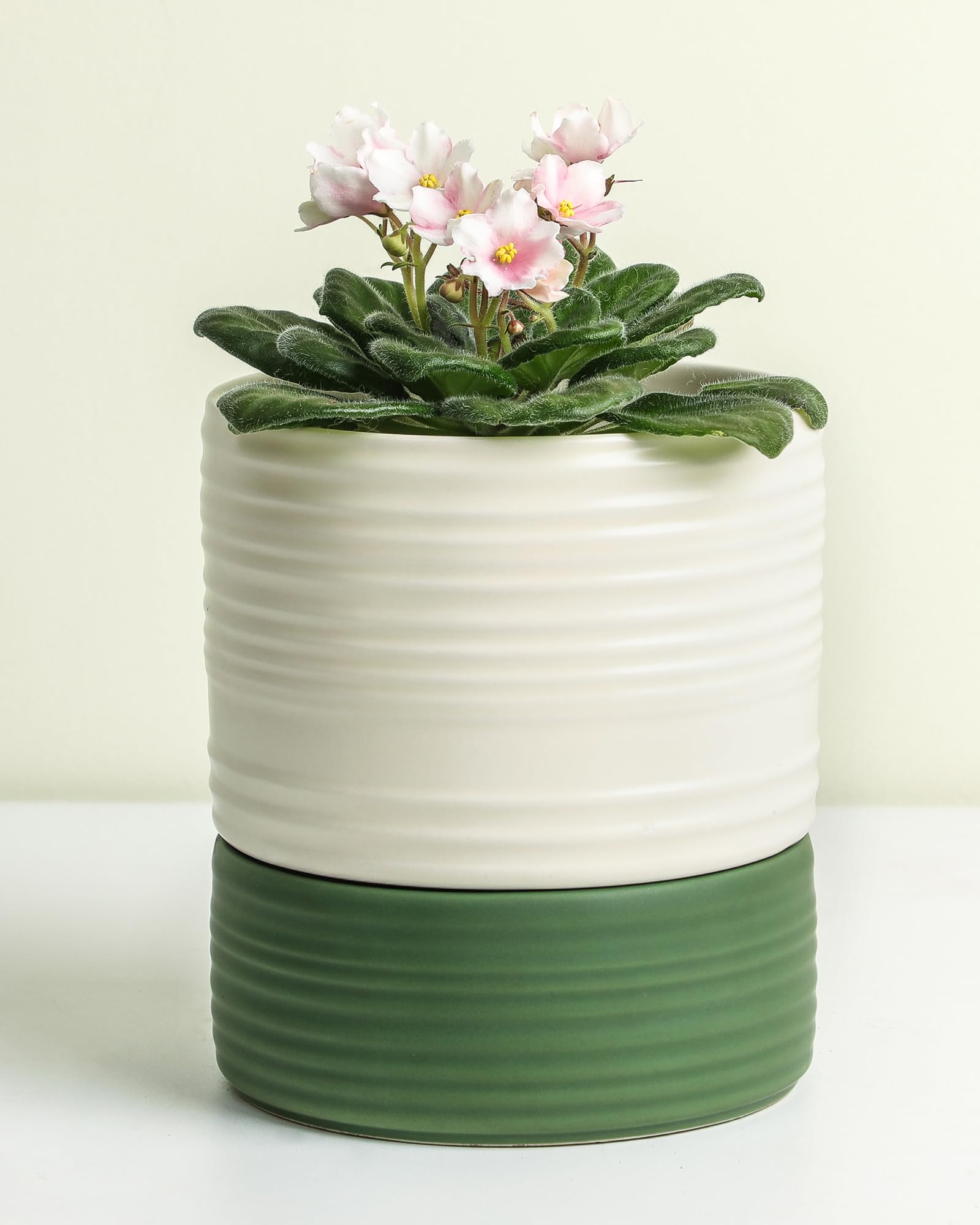 Fayoula front view white matte pot showing minimalist look and stable base