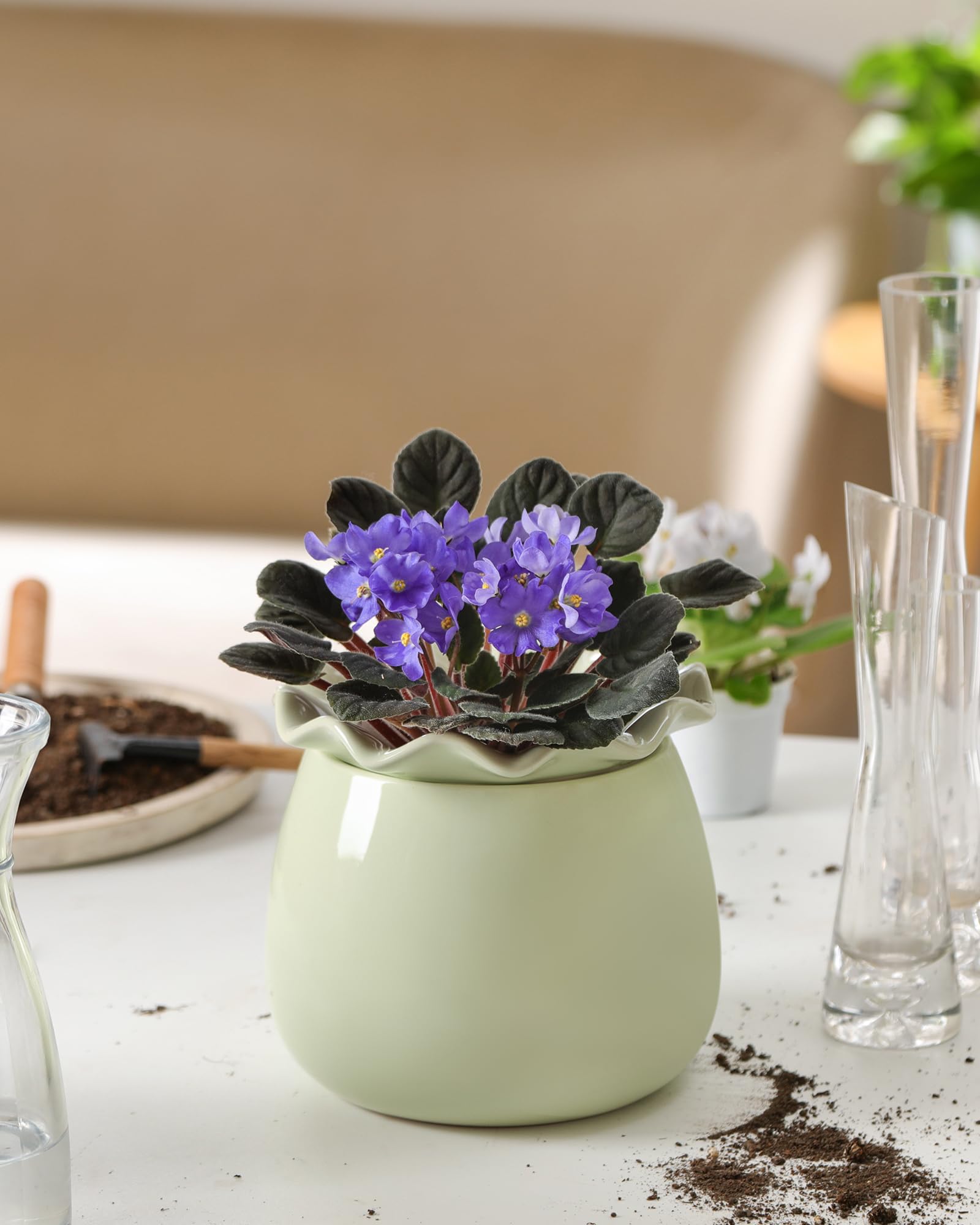Fayoula grouped lifestyle display showing harmonious indoor styling