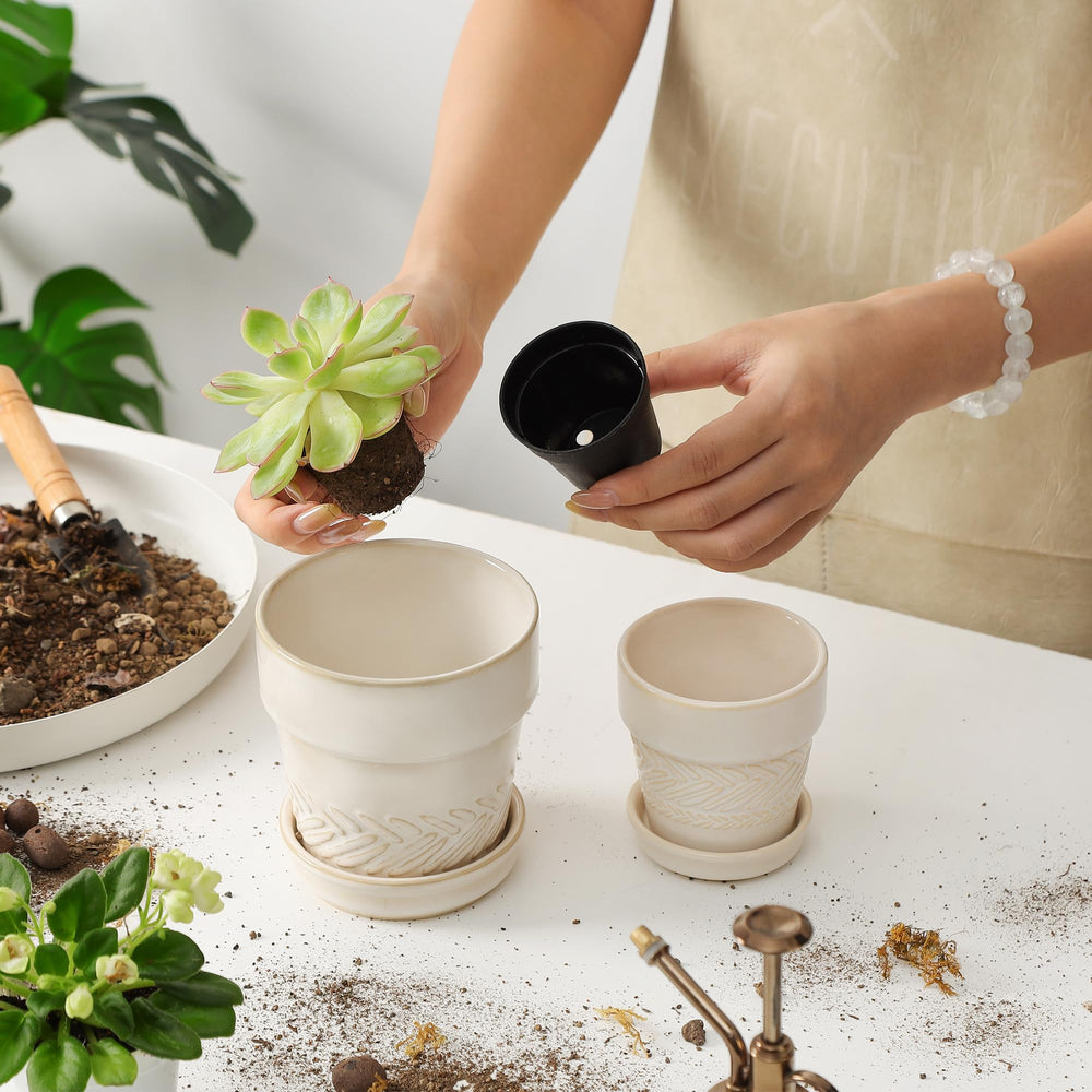 Fayoula pots on a desk with succulents adding greenery and workspace charm