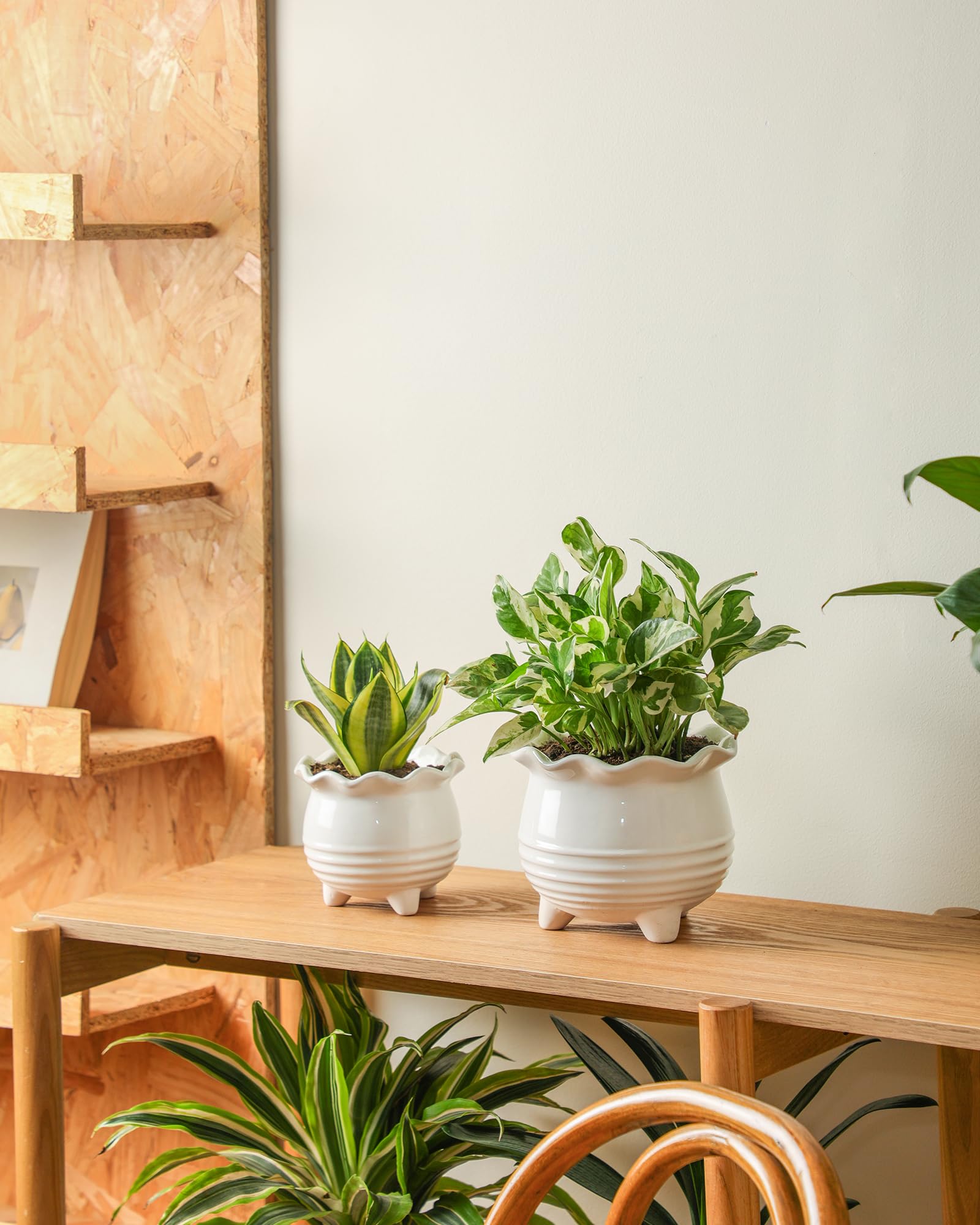 Fayoula duo styled on wooden shelf blending with home decor and texture