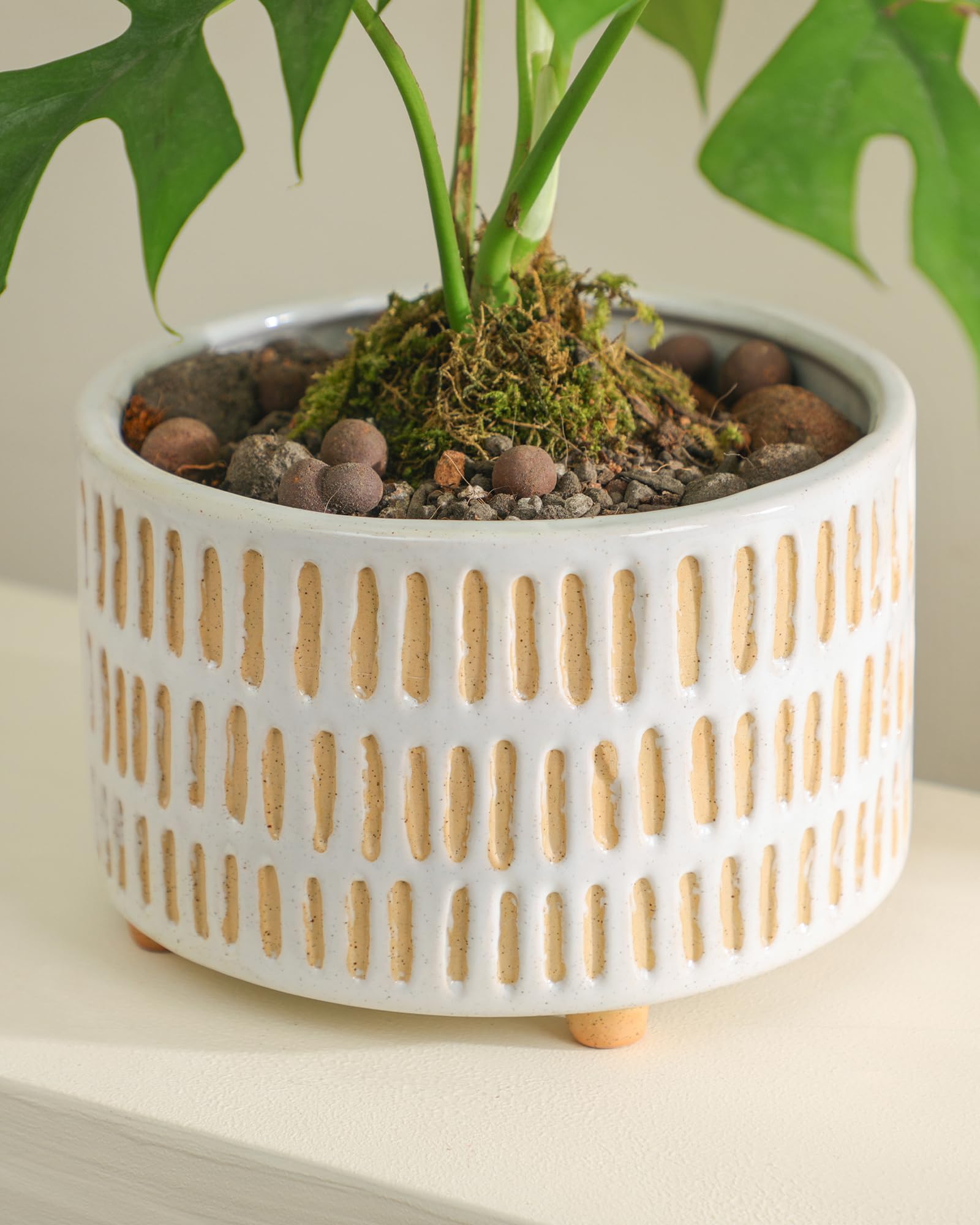Fayoula planter held in hand for size comparison demonstrating compact 6-inch scale