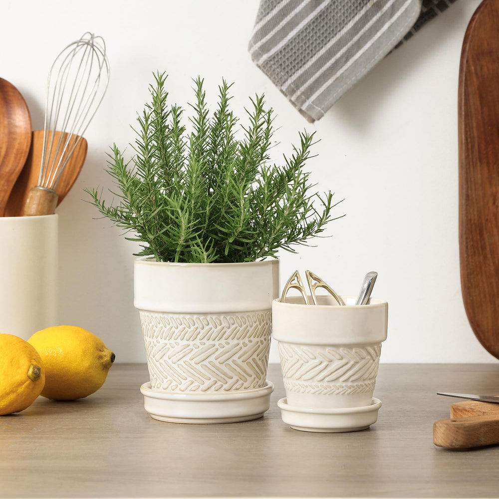 Fayoula pot next to ruler demonstrating compact 3-inch size for small plants