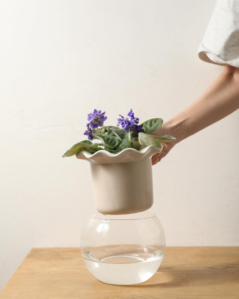 Fayoula styled living room display showing decorative indoor gardening benefit