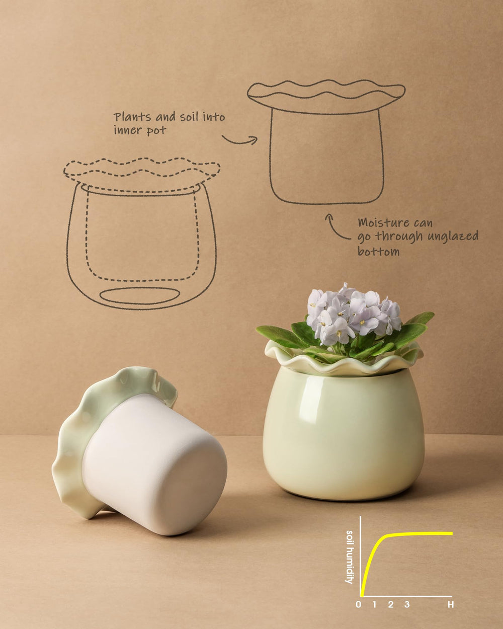 Fayoula with African violet on windowsill illustrating space-saving display