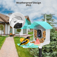 Fazoxo feeder mounted on a tree branch with bird visiting for natural observation benefits