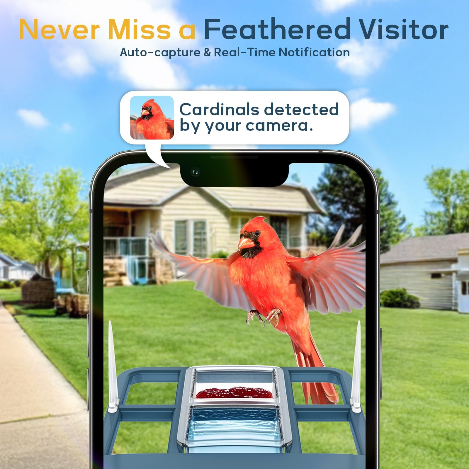 Fazoxo feeder in use with bird perched, captures feeding behavior benefit