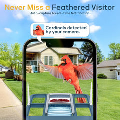 Fazoxo feeder in use with bird perched, captures feeding behavior benefit