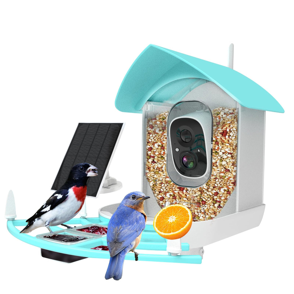 Fazoxo front view of feeder camera showing design and accessible feeding port benefit