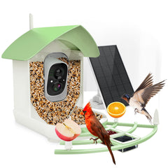 Fazoxo front view showing design and feeding port, clear backyard observation