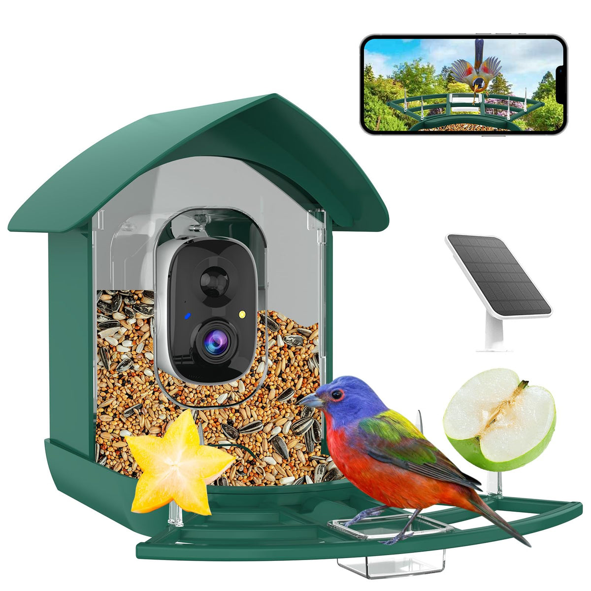 Fazoxo front view feeder camera showing entrance and lens, clear observation benefit