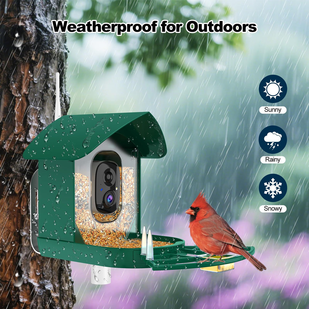 Fazoxo mounted on tree with birds feeding, easy installation benefit