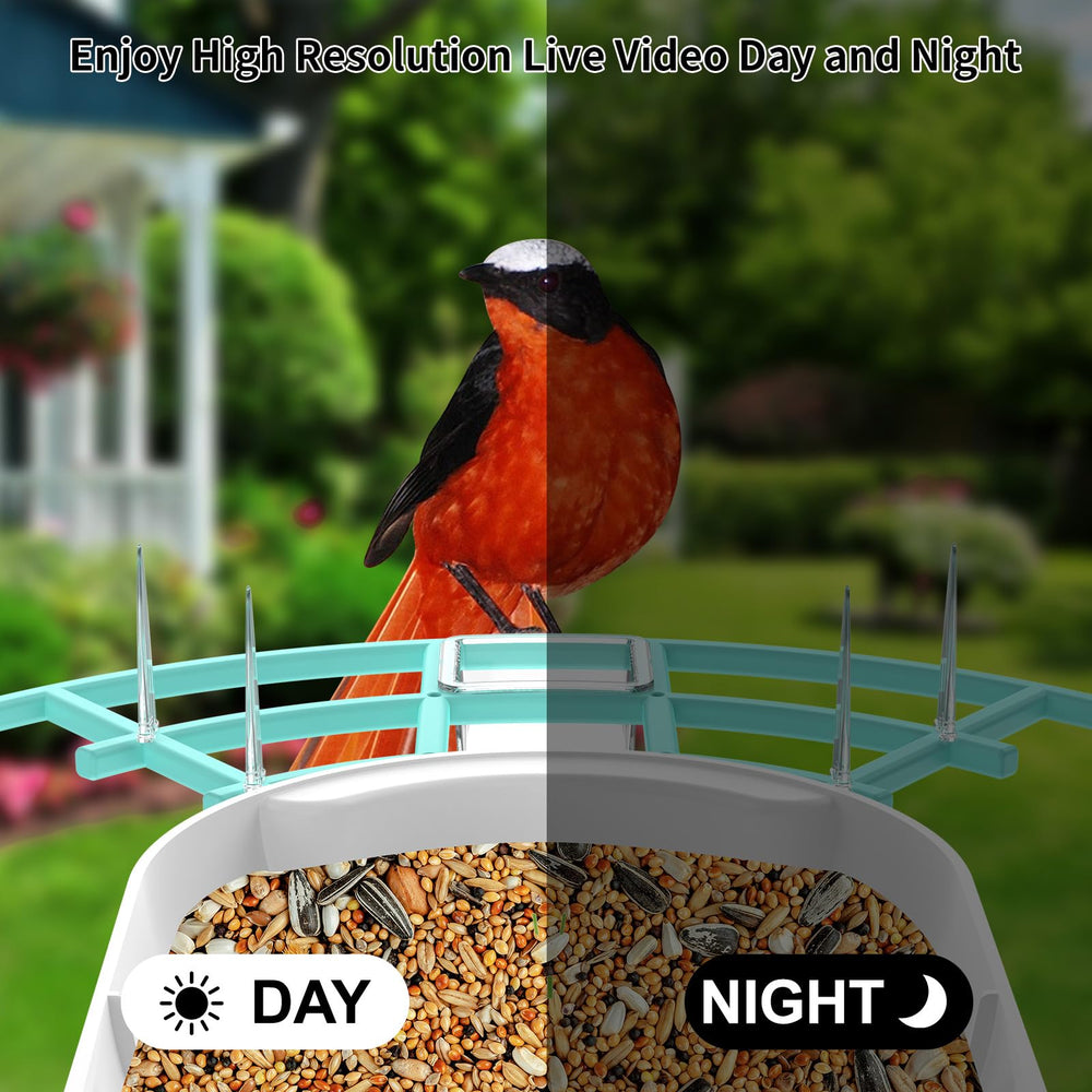 Fazoxo night vision scene showing IR clarity up to 33 feet for nocturnal monitoring