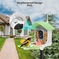 Fazoxo night vision LEDs illuminated for clear low-light bird monitoring