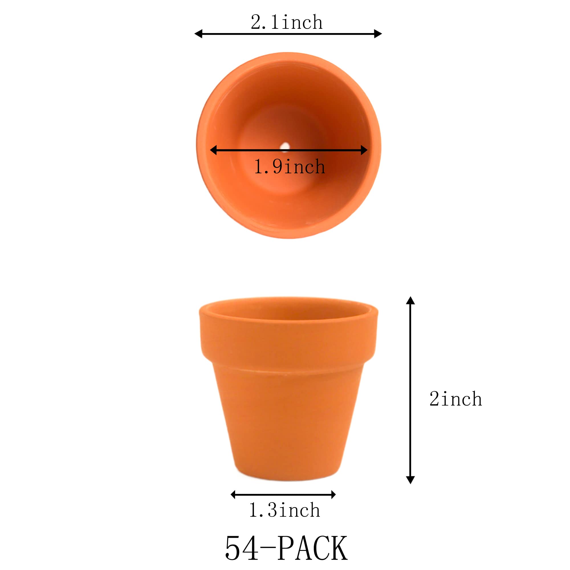 Fcacti close-up of clay texture and drainage hole highlighting breathability and root health benefits