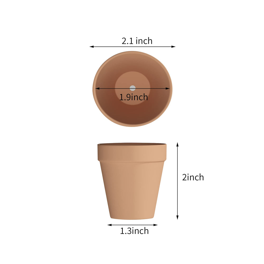 Fcacti close-up of clay texture and drainage hole highlighting breathable material